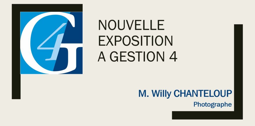 Page de présentation exposition Willy CHANTELOUP